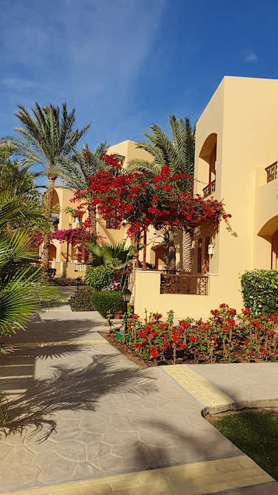 Gartenanlage Steigenberger Coraya Beach - Adults only