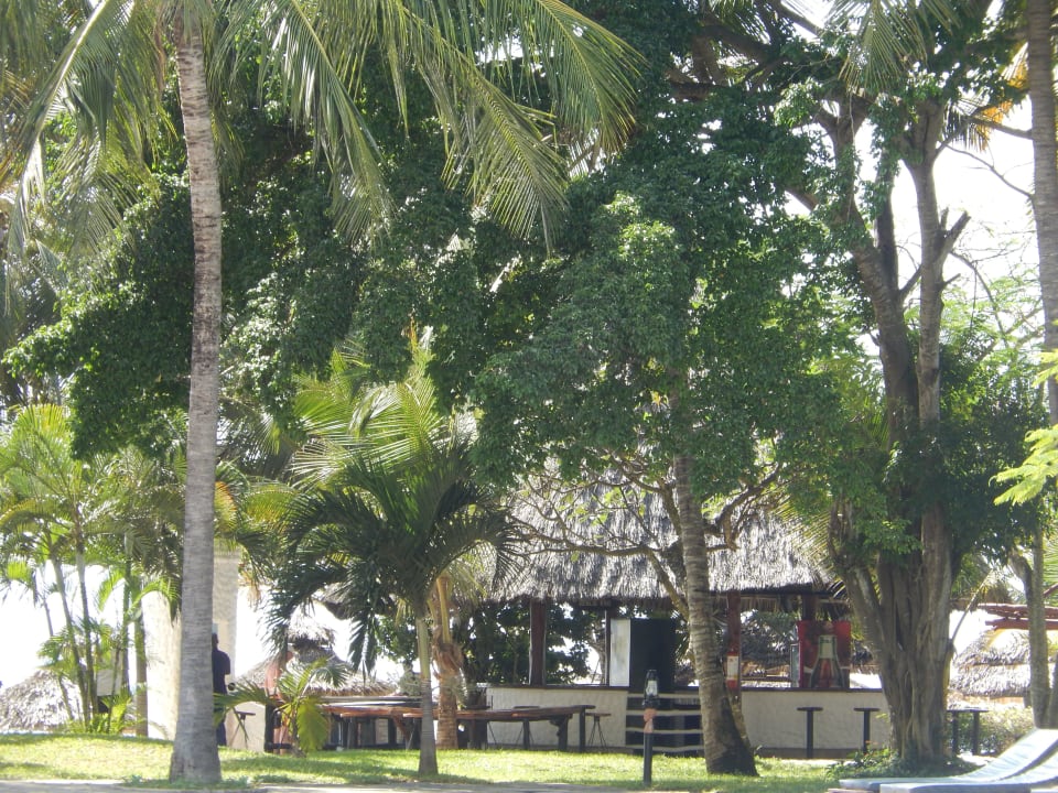 Strandbar Hotel Southern Palms Beach Resort