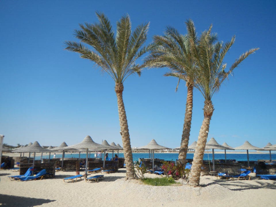Strand Malikia Resort Abu Dabbab