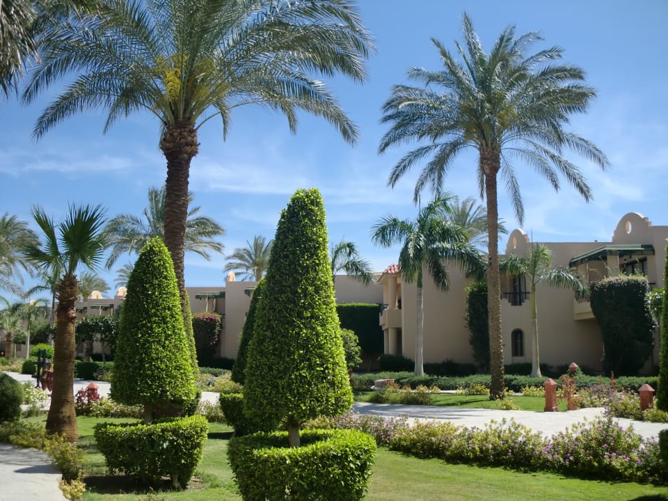 Ausblick vom Zimmer Ali Baba Palace Hotel