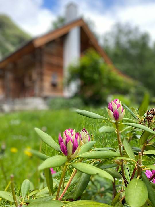 Außenansicht Romantikhütte Eggerfeld