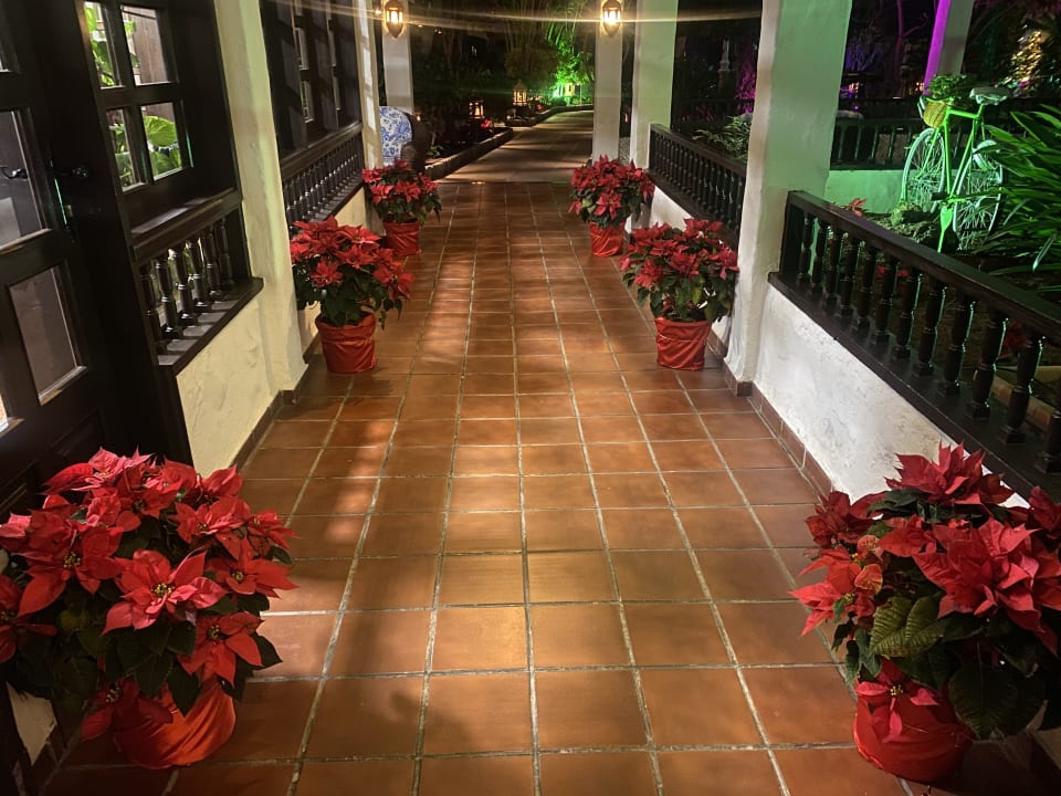 Lobby Hotel Parque Tropical