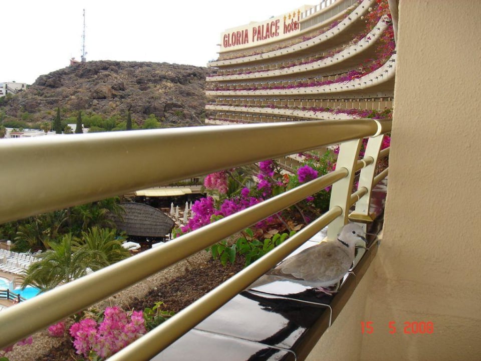 Gäste Gloria Palace San Agustin Thalasso & Hotel