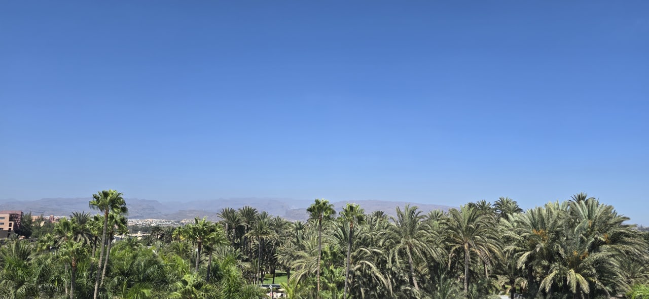 Ausblick Hotel Riu Palace Oasis