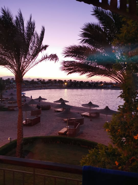 Ausblick Desert Rose