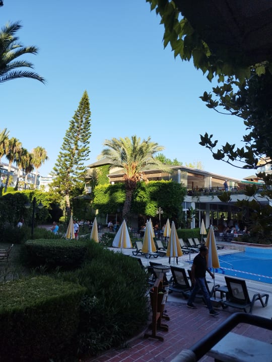 Pool Hotel Gardenia Beach