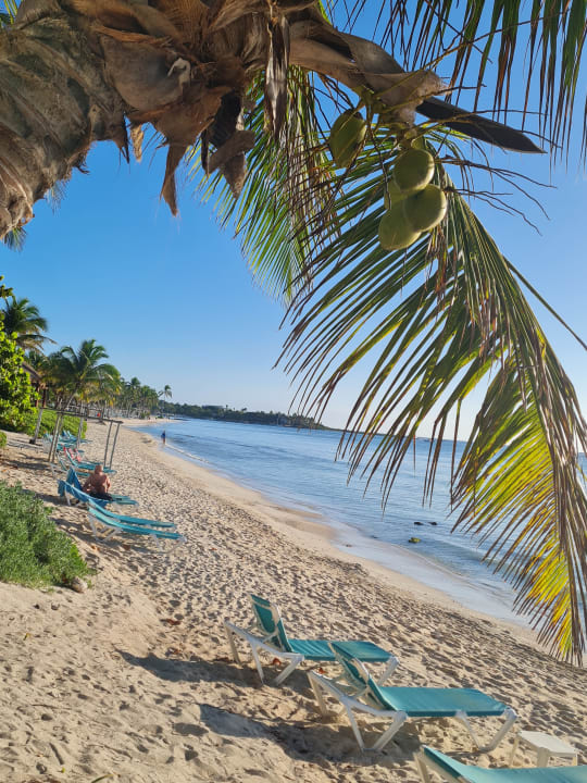 Strand Akumal Bay Beach & Wellness Resort
