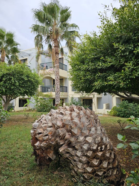 Gartenanlage Hotel Tigaki Beach