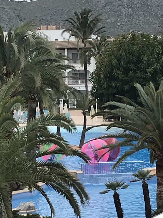 Pool Alcudia Garden Aparthotel