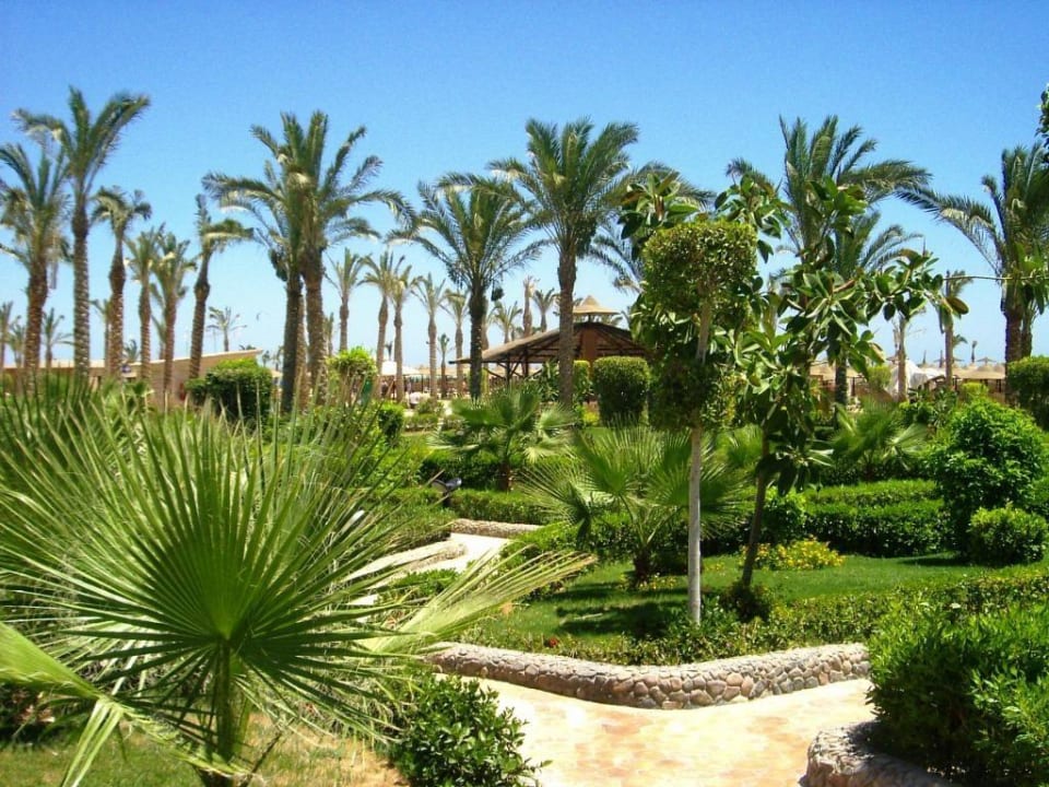Wspaniały hotelowy ogród Riviera Aqua Park Resort