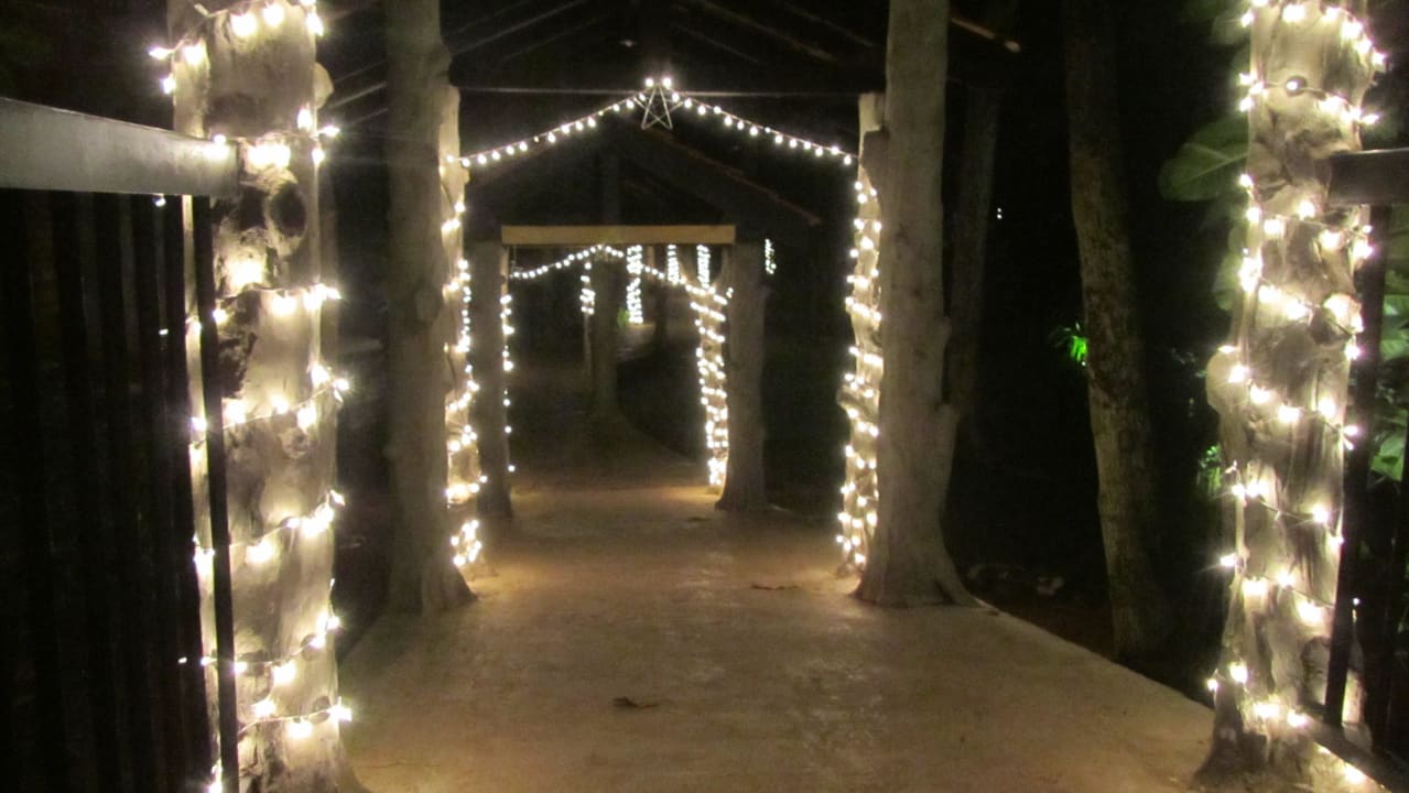 Weg zum RestaurantBuffetrestaurant - Weihnachtsdek Club Hotel Dolphin