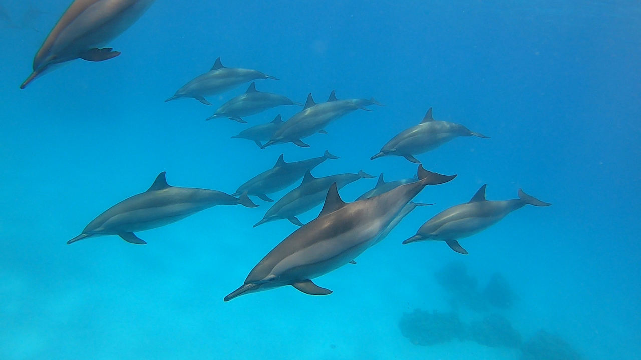 Sport & Freizeit Three Corners Happy Life Beach Resort