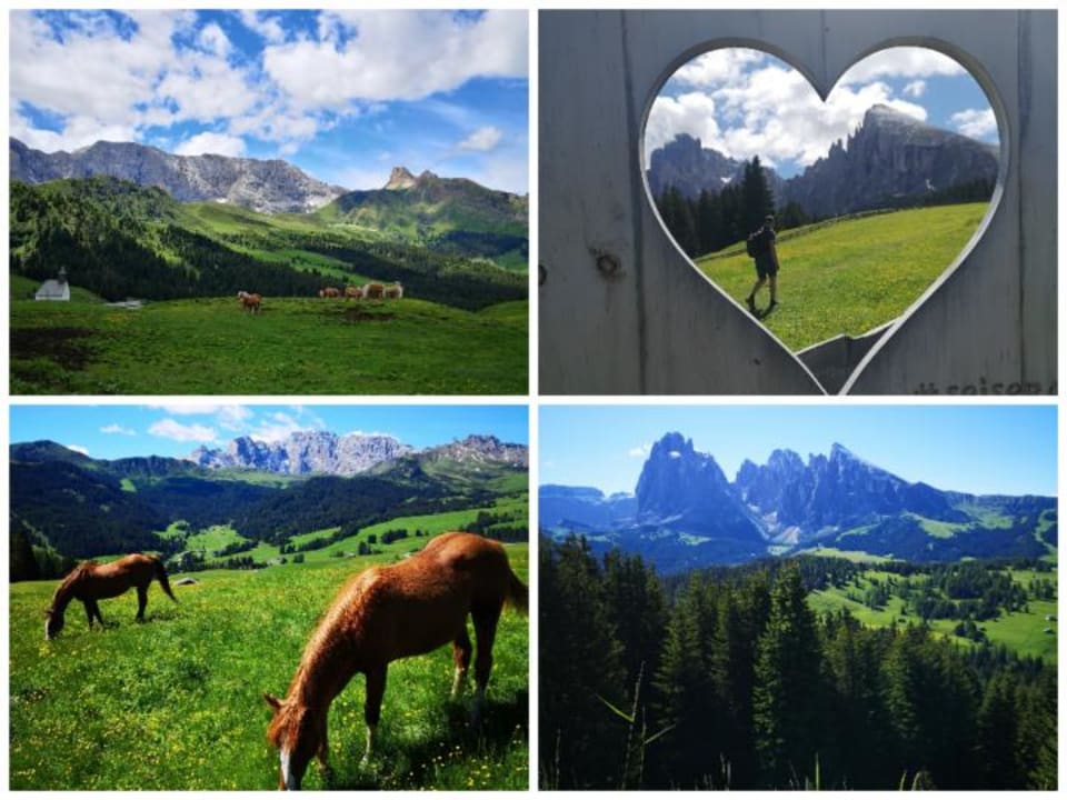 Ausblick Boutique Pension Erlacher – Adults Only