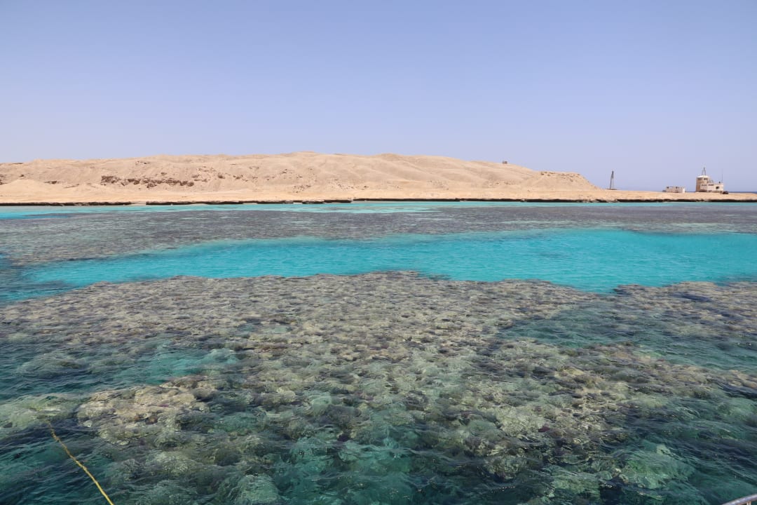 Sport & Freizeit Pickalbatros Citadel Resort