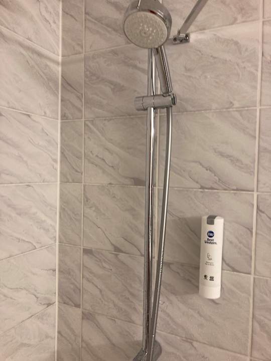 Zimmer Best Western Parkhotel Brehna - Halle