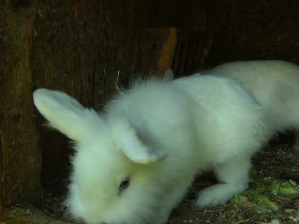 Sonstiges Biobauernhof Schranbachhof