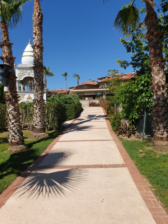 Gartenanlage Alba Resort Hotel