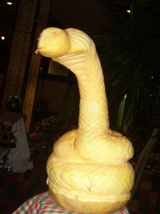 Phyton aus einem Kürbis Ghazala Beach