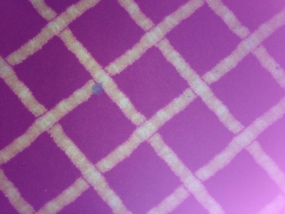 Flecken Flecken  Hotel Müller