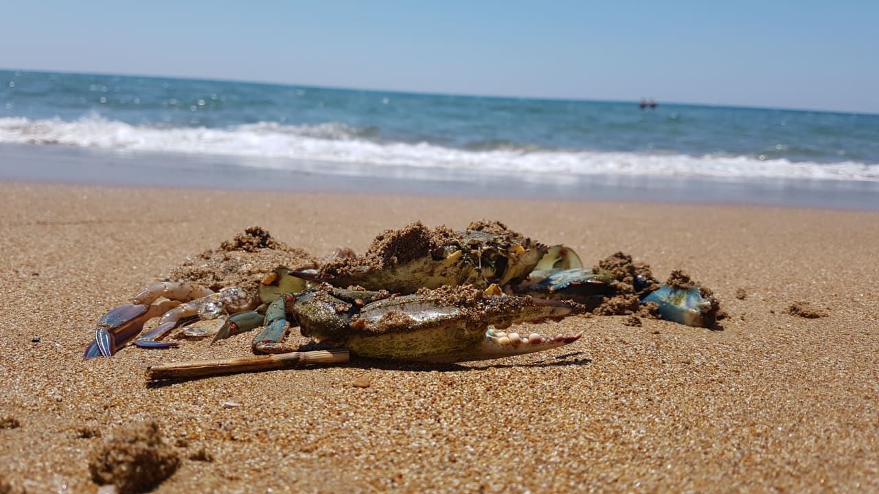 Strand Hotel Defne Dream