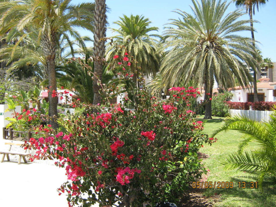 Bungalowanlage HL Miraflor Suites Hotel