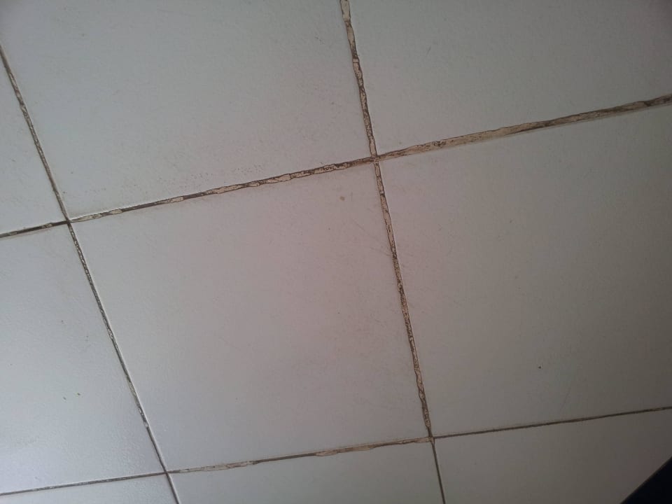 Dreckige Fugen Desert Rose