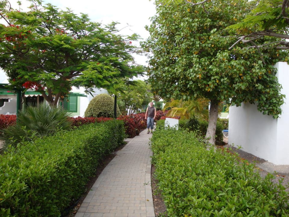 Rundweg Bungalows Cordial Sandy Golf