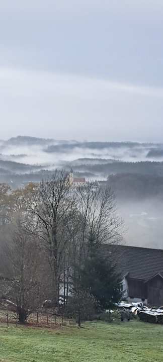 Ausblick Thula Wellnesshotel Bayerischer Wald