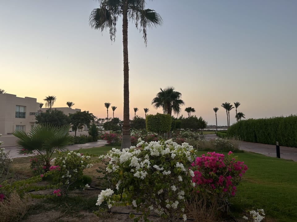Gartenanlage Cleopatra Luxury Resort Makadi Bay
