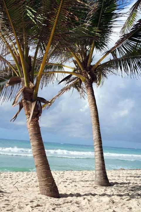Idylle pur Resort Amani Tiwi Beach