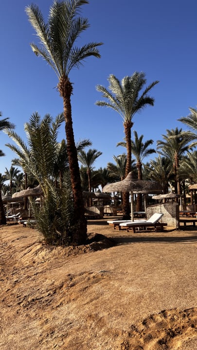 Strand Palm Royale Resort - Soma Bay