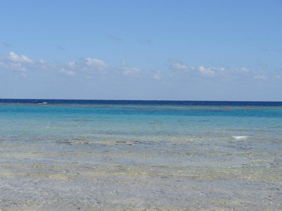 Das war noch eines der nicht so schönen Bilder. Hotel Gorgonia Beach Resort