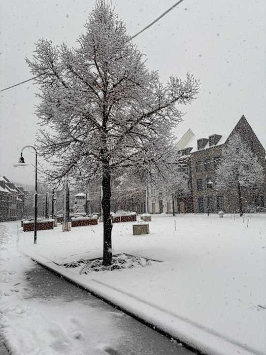 Gartenanlage Dormio Resort Maastricht