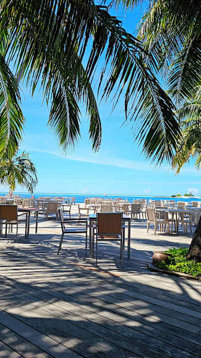 Gastro Vilamendhoo Island Resort & Spa