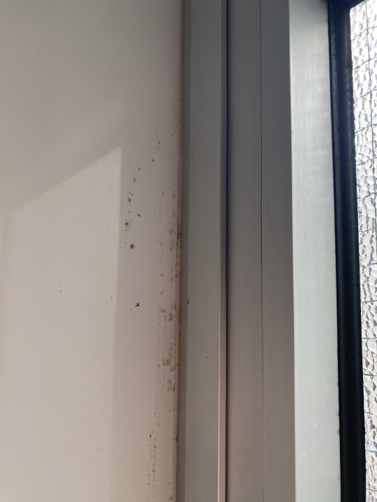 Zimmer Paradise Bay Resort Hotel