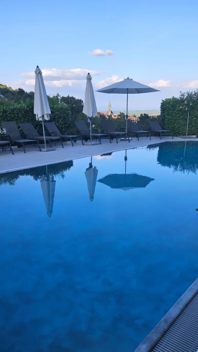 Pool Wiedemann's Weinhotel