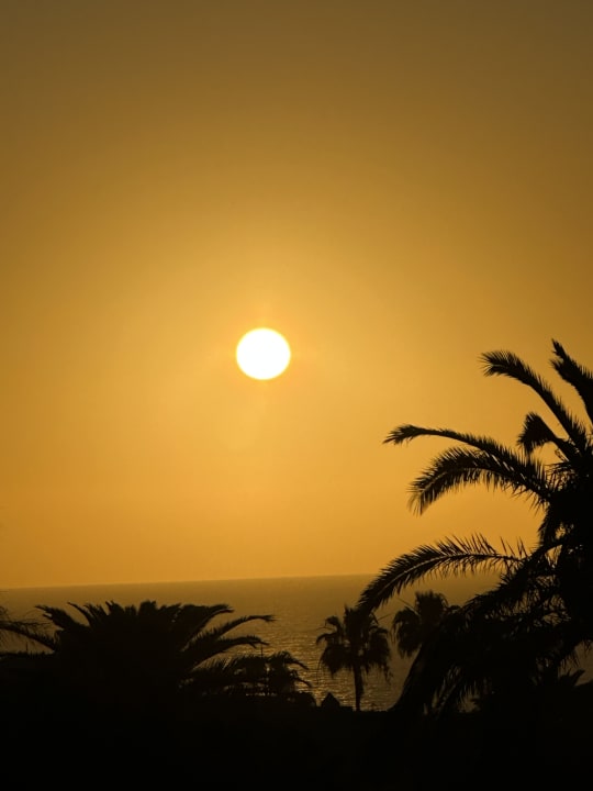 Ausblick AluaVillage Fuerteventura