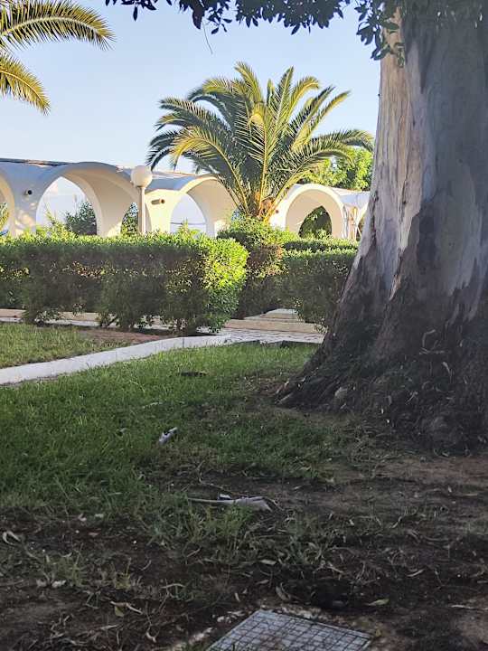 Gartenanlage The Sindbad