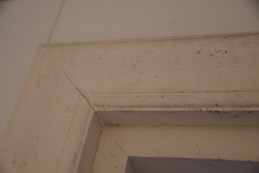 Zimmer Hotel Nesrine