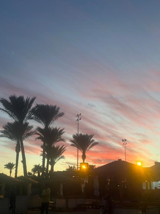 Gartenanlage Steigenberger Aqua Magic