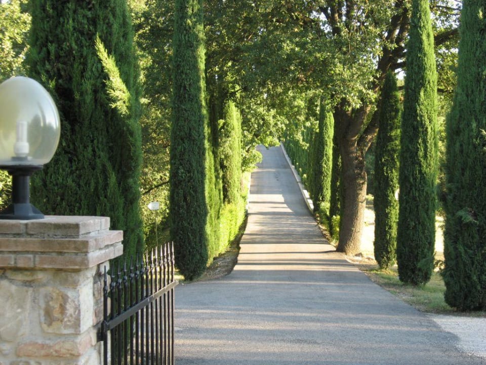 von der Dependence zum Haupthaus Abbazia Dei Collemedio Hotel & Resort