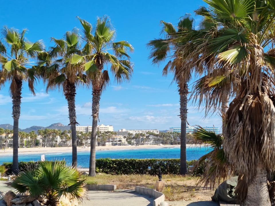 Strand Hipotels Mediterraneo Club