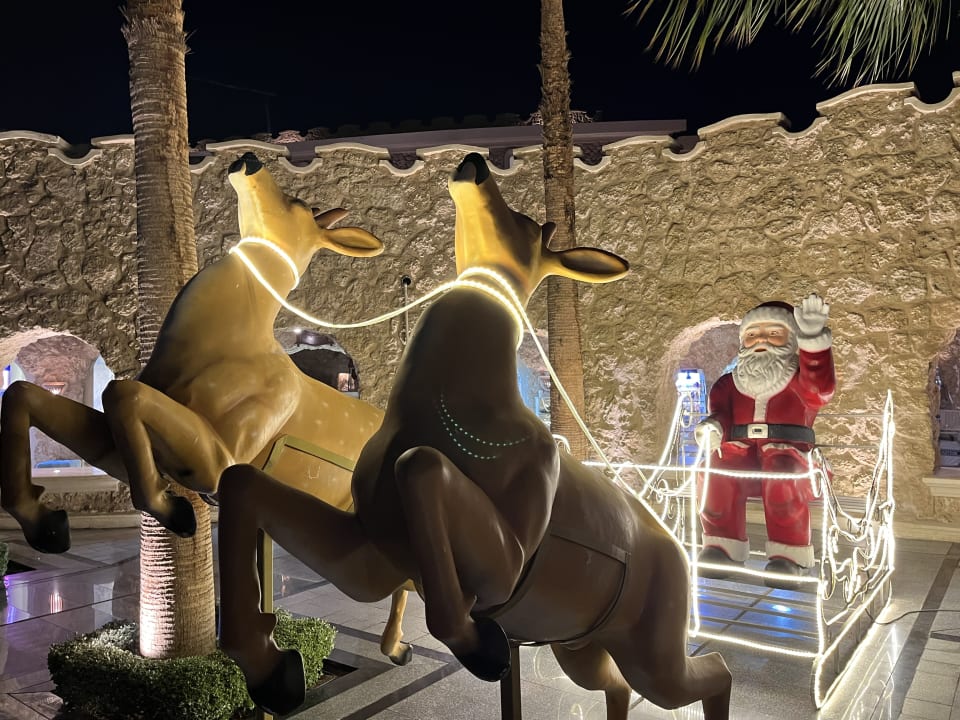 Sonstiges Pickalbatros Citadel Resort