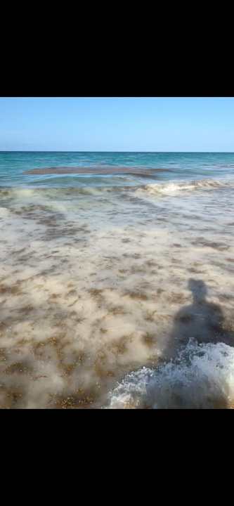 Strand Hotel Riu Palace Punta Cana