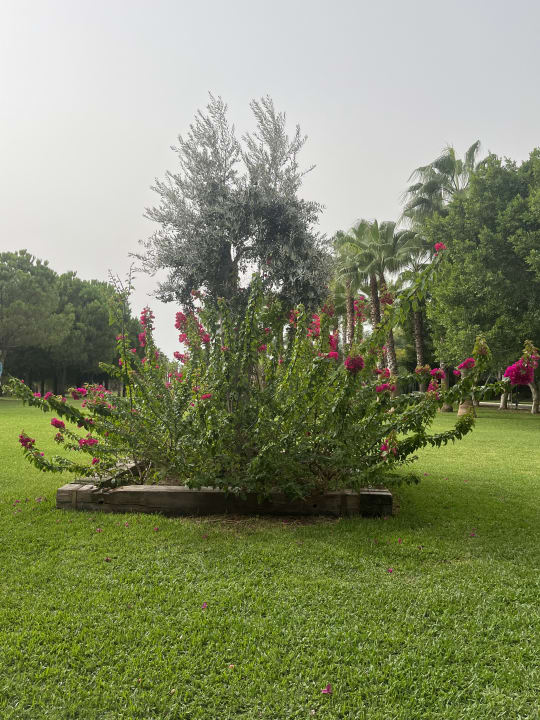 Gartenanlage Hotel Süral Resort