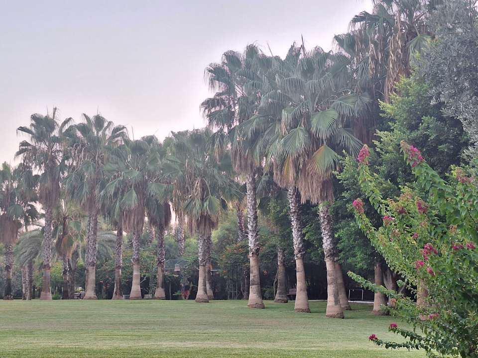 Außenansicht Hotel Süral Resort