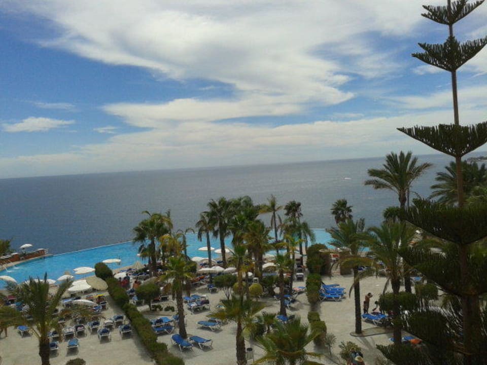 Palmeras con el fondo del mar y la piscina Playacálida Hotel