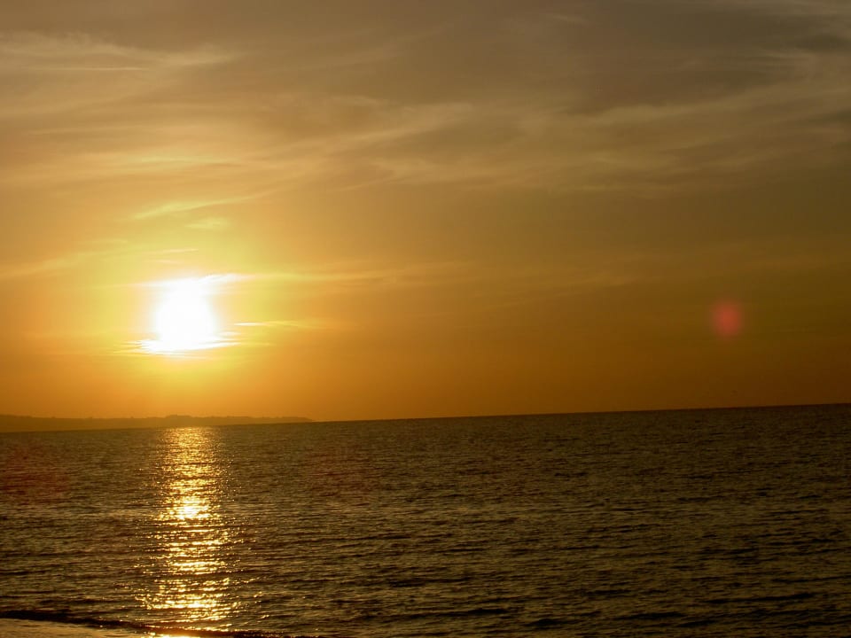 Super Royal Tulip Taj Sultan