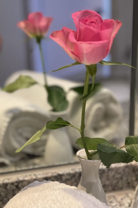 Zimmer Parkhotel Altmühltal