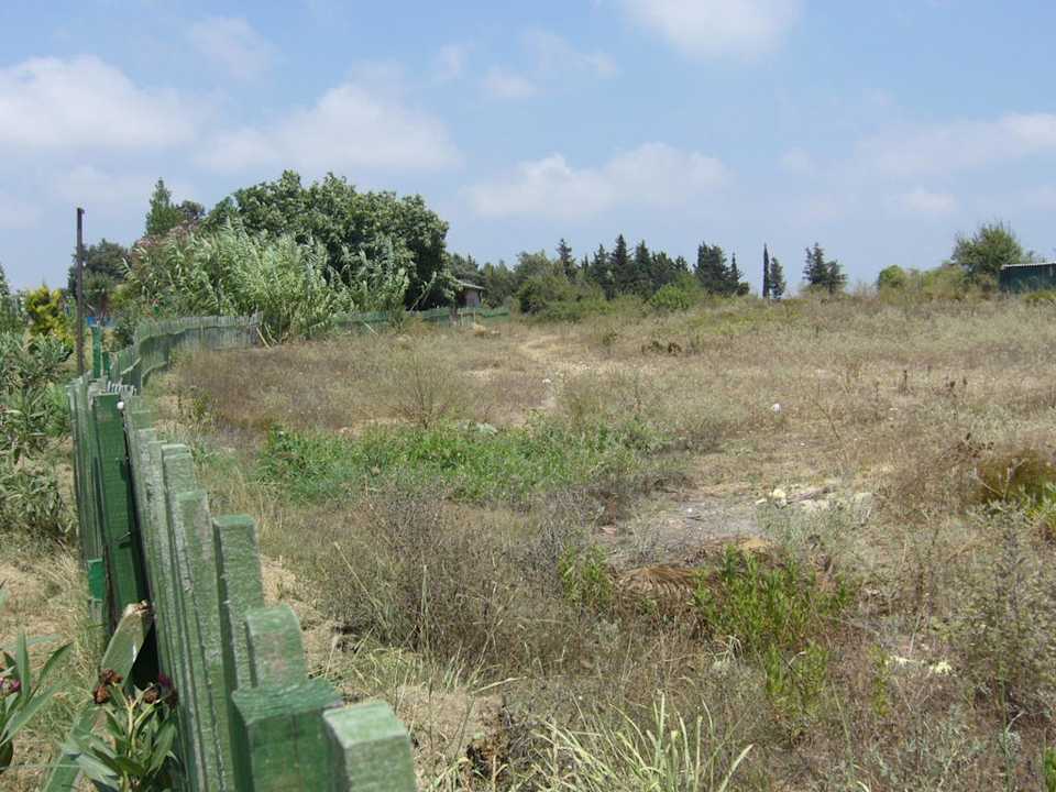 Sun Flipper Hotel Club Life Kizilot